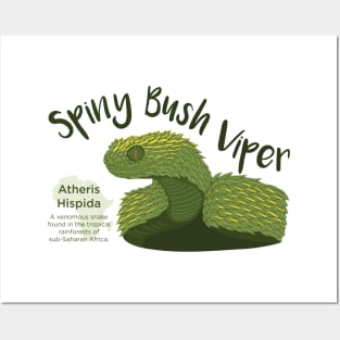 Spiny Bush Viper Posters and Art